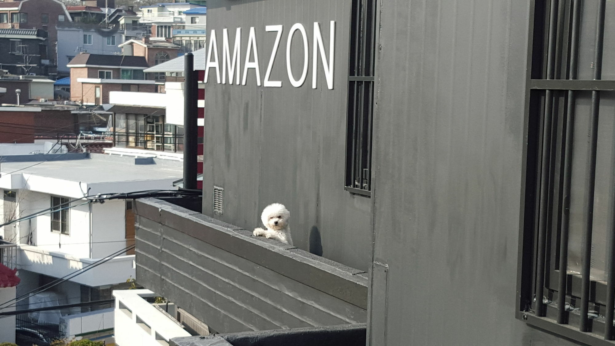 Amazon Guesthouse Сеул Екстер'єр фото